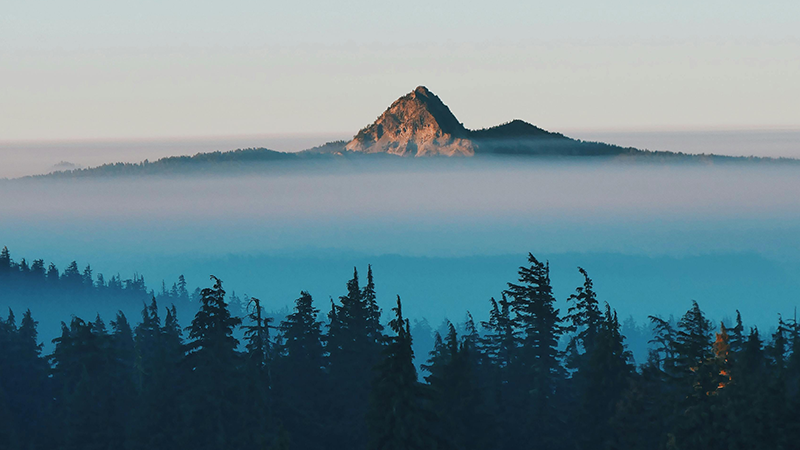 外用药细分龙头6163银河制药登陆A股，打造“药箱”IP矩阵高筑护城河